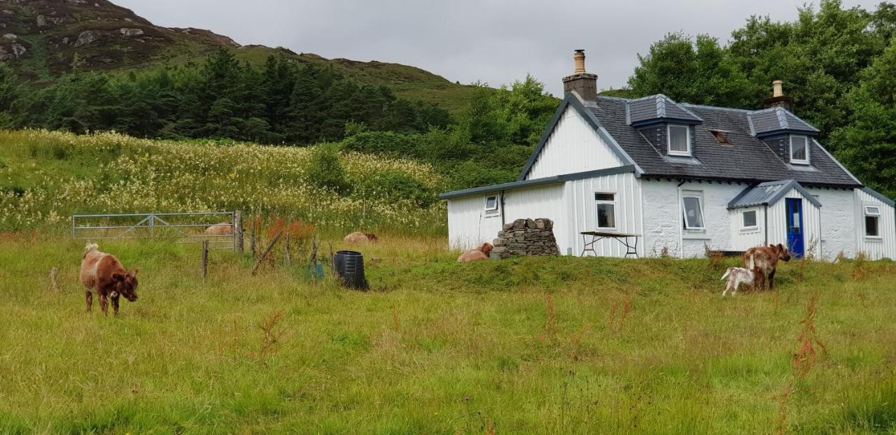 Вилла Isle Of Carna, Secluded Scottish Island, Loch Sunart Acharacle Экстерьер фото