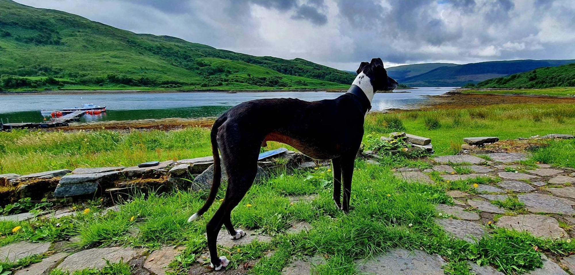 Вилла Isle Of Carna, Secluded Scottish Island, Loch Sunart Acharacle Экстерьер фото